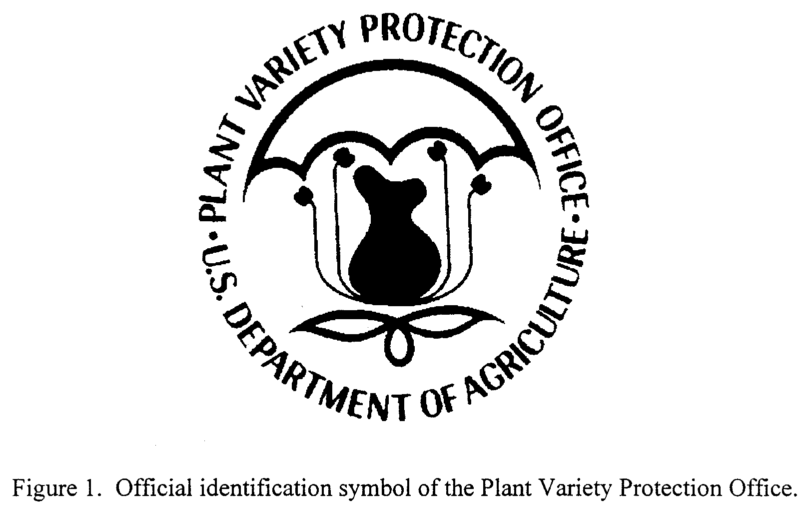 Plant Variety Protection 